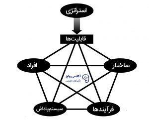 مدل ستاره‌ای در طراحی سازمان